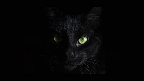alpvh|ALPHV BlackCat .